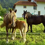 Millonigg Appartement *