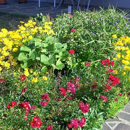 Millonigg Apartman *